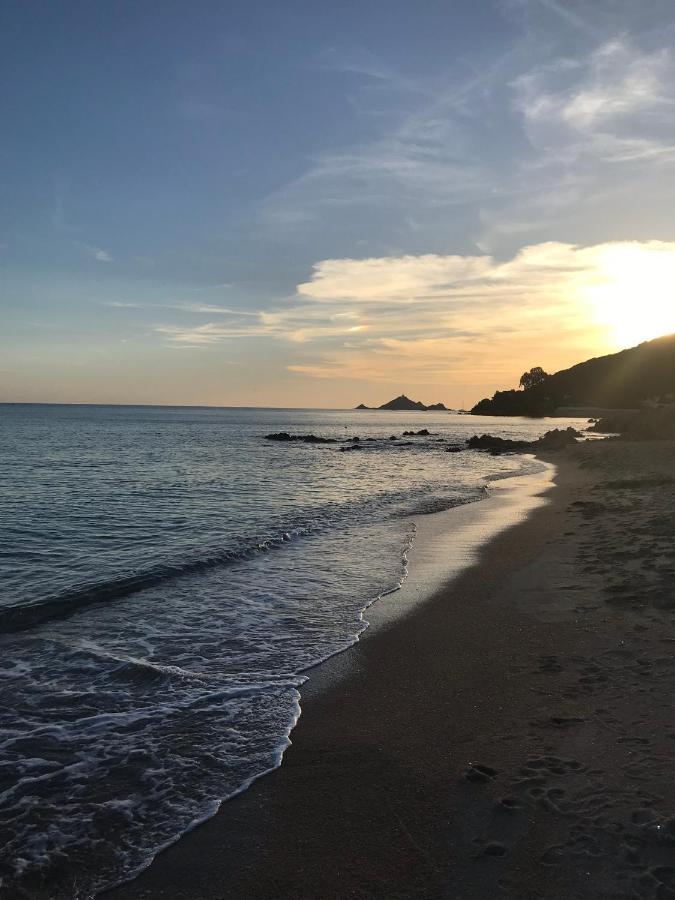 Magnifique Villa Recente Entre Mer Et Montagne Situee Entre Ajaccio Et Porticcio Cauro Luaran gambar