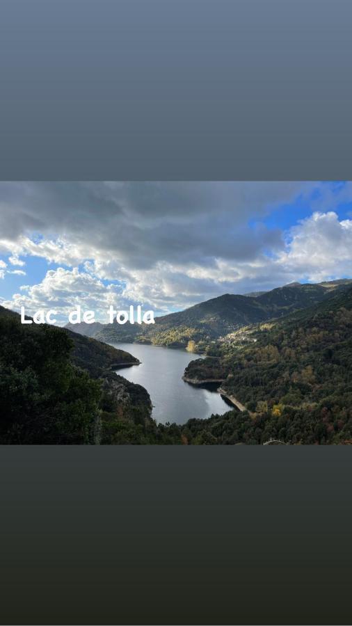 Magnifique Villa Recente Entre Mer Et Montagne Situee Entre Ajaccio Et Porticcio Cauro Luaran gambar